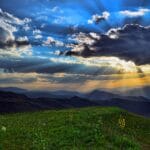 lesnydworek.net (28)