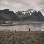 lesnydworek.net (33)