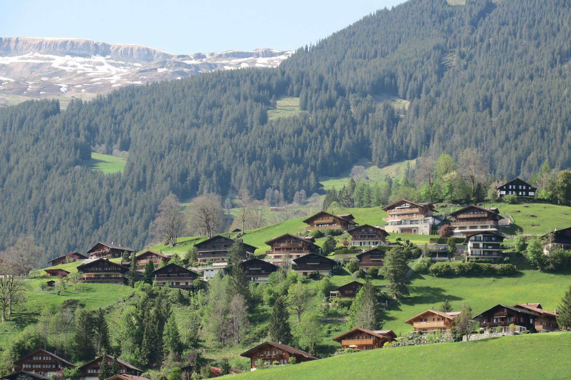 Górska wieś z drewnianymi domami na zielonych zboczach i ośnieżonych szczytach