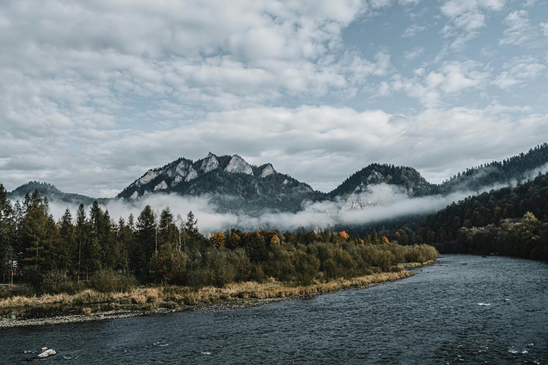 Mgliste Pieniny nad Dunajcem, rzeka wśród gęstego, wiosennego lasu