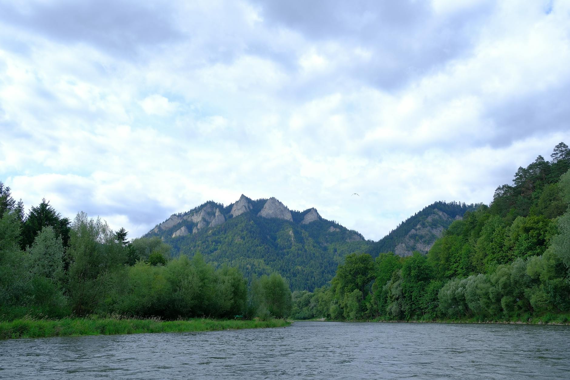 Wiosenny krajobraz Dunajca otoczonego zielonymi zboczami Pienin