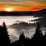 Pieniny w malarstwie i rzeźbie ludowej – motywy z Dunajca w sztuce